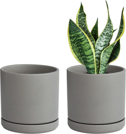 D'vine Dev Set of 2 Plants Pots, 6.5 Inch Ceramic Planter Pot for Plants with Drainage Hole and Saucer, White, 94-V-C-1