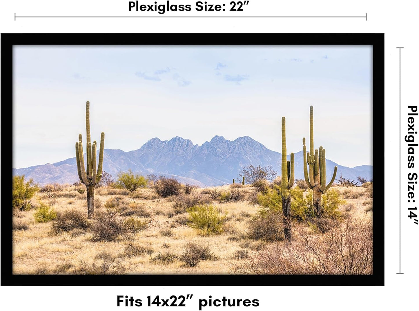 Americanflat 12x18 Poster Frame with Shatter-Resistant Glass - Signature Collection - Gallery-Style Frames Made of Engineered Wood - Photo Frame for Wall Display - Black - Colors B