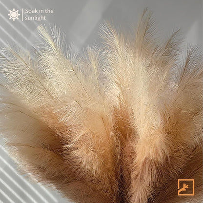 ZIFTY 7-Pcs 38"/3.1FT Faux Pampas Grass Large Tall Fluffy Artificial Fake Flower Bedroom Decor Boho Decor Bulrush Reed Grass for Vase Filler Farmhouse Home Wedding Decor (Beige Mixed)