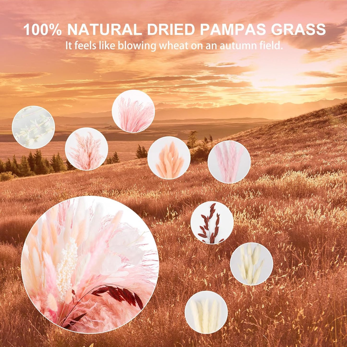 N&T NETING Dried Pampas Grass Decor- White Pampas Grass, Brown Pampas, Bunny Tail, Reed, Fluffy Dried Pompas Grass Flower for Home Wedding Table Vase Boho Modern Decor, 75Pcs