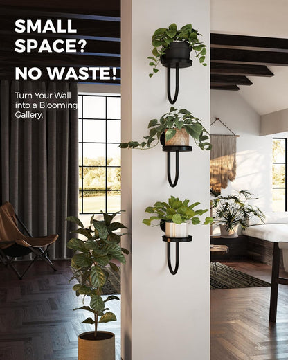 Bamworld Hanging Planters for Indoor Plants Wall Plant Holder Plant Hanger Indoor Wall Planters Window Plant Shelves Hanging Plant Holder Window Plant Hanger Plant Decor Black 3pcs