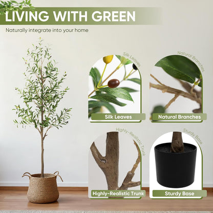 Olive Tree Artificial Indoor, 7 FT Faux Olive Trees with Planter, Fake Tall Plants with Natural Trunk and Lifelike Fruits for Home Office Decor(1, 7FT)