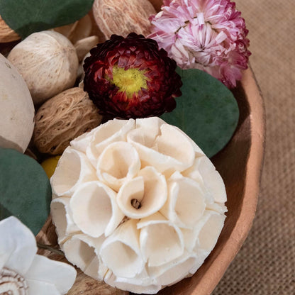 ANDALUCA Maison Box Fragrance Potpourri Decorative Vase & Bowl Filler Home Décor (Coconut Sandalwood)