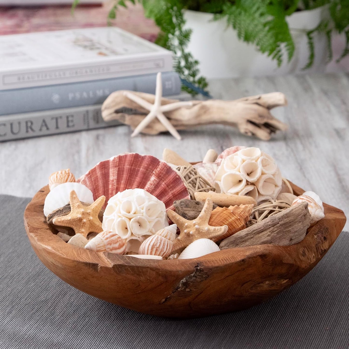 ANDALUCA Maison Box Fragrance Potpourri Decorative Vase & Bowl Filler Home Décor (Coconut Sandalwood)