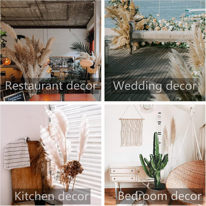 46" inch 10 Stems Natural Pampas Grass Decor Tall, Pompas Grass, Tall Pampas Grass for Weddingm, Farmhouse, Boho Home Decor (Beige)