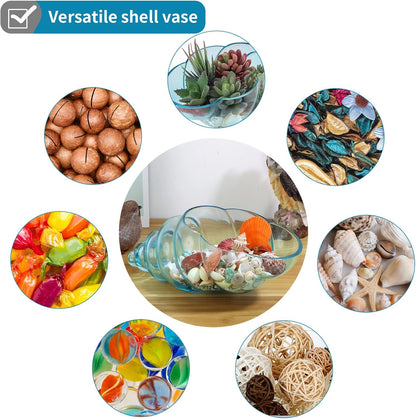 MDLUU Glass Shell Vase, 11-Inch Seashell Potpourri Holder, Large Decorative Conch Bowl for Shell Collection Display, Sea Glass, Air Plant