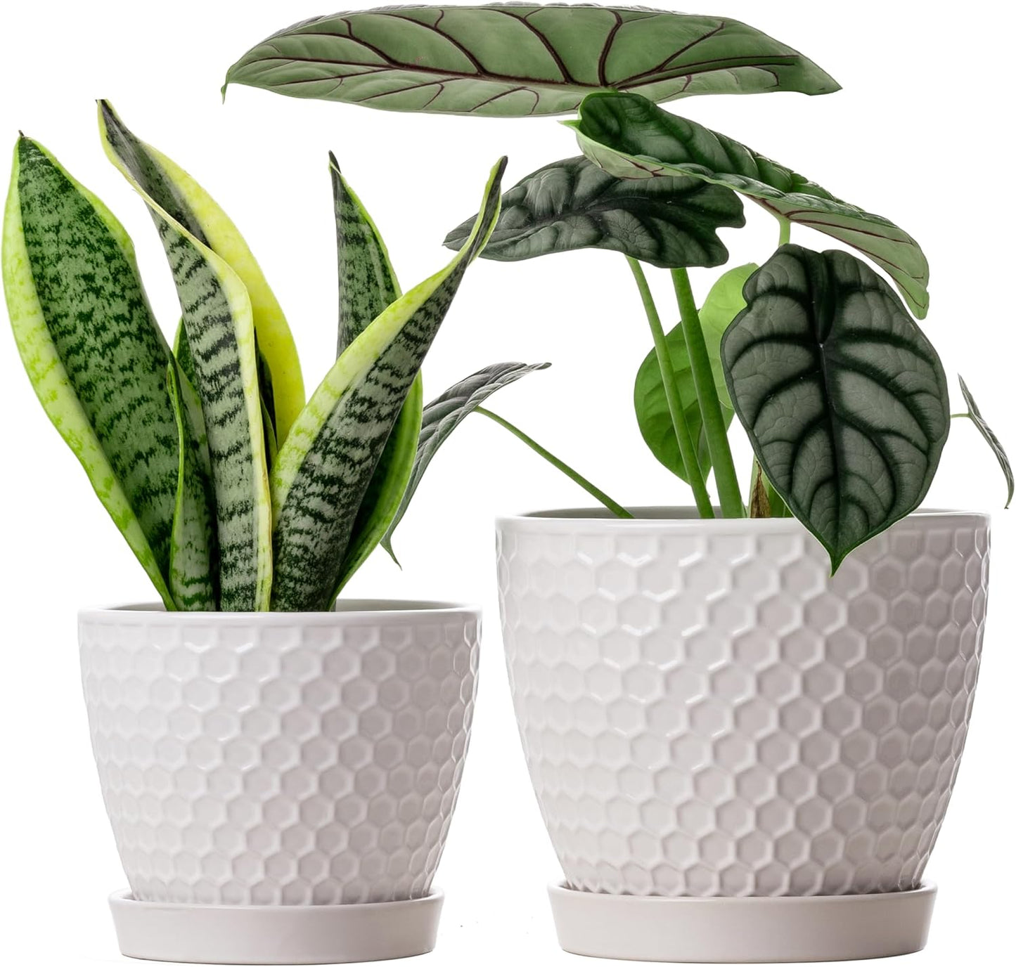 Docrin 3-Pack Ceramic Planters Set - 6.5"+5.3"+4" Dual-Tone Flower Pots with Drainage Holes, Modern Indoor Outdoor Planters for Succulents/Herbs/Large Plants, Home Office (Brownish Black & White)