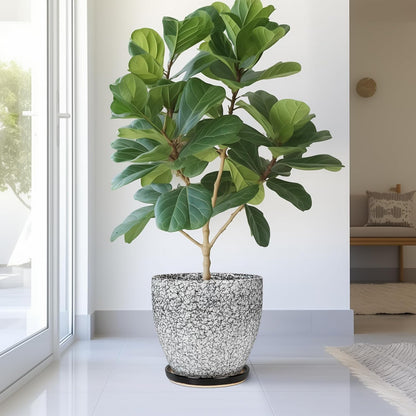 10 Inch Ceramic Planter Pot Round Plant Pot for Indoor Plants Outdoor Large Flower Pot with Drainage Hole and Saucer Blue