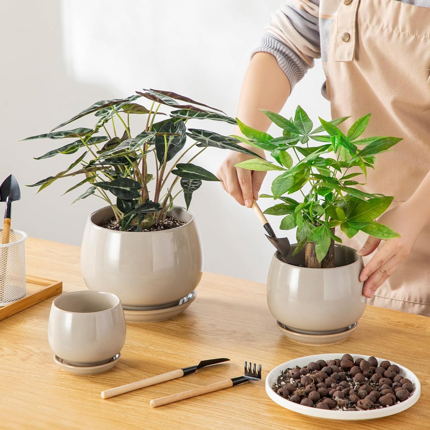 vancasso 3-Pack Ceramic Plant Pots, 3.7/4.8/6.2 Inch Indoor Planters with Saucers & Drainage Hole Planter pots for Indoor Plants and Flower, White