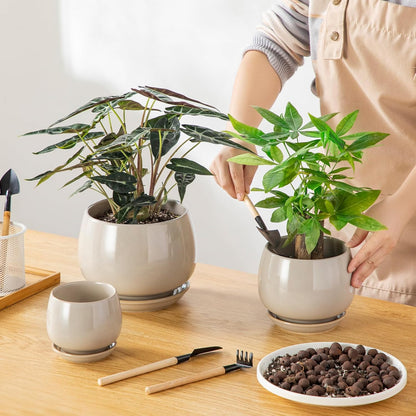 vancasso 3-Pack Ceramic Plant Pots, 3.7/4.8/6.2 Inch Indoor Planters with Saucers & Drainage Hole Planter pots for Indoor Plants and Flower, White