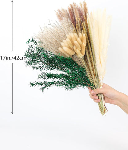 xin's convey 120 PCS Dried Pampas Grass, Dried Flowers, Reed Grass Bouquet for Bohemian Flowers Home Table Wedding Decoration, Rustic Farmhour.(Light Brown)