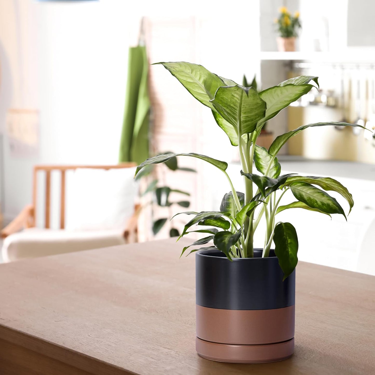 D'vine Dev 6.5 Inch Ceramic Planter Pot with Drainage Hole and Saucer, Indoor Cylinder Round Planter Pot, Olive, 94-O-C-J