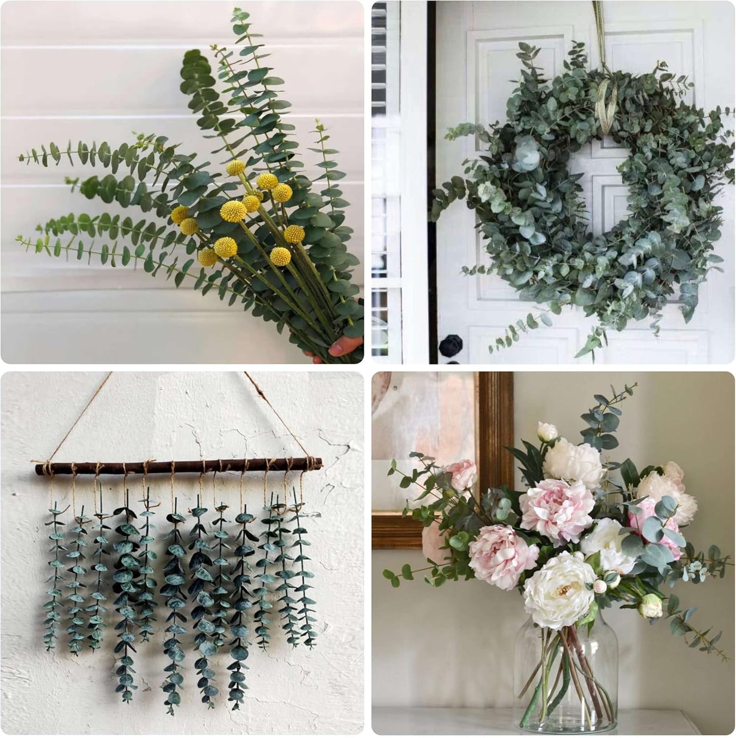 30 Pcs Dried Preserved Eucalyptus Stems Shower Bundle, 9oz 17" 100% Natural Fresh Eucalyptus Plant, Real Eucalyptus Leaves Branches for Shower Vase Filler, Dried Flowers Arrangement Home Decor