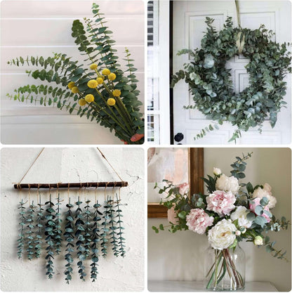 30 Pcs Dried Preserved Eucalyptus Stems Shower Bundle, 9oz 17" 100% Natural Fresh Eucalyptus Plant, Real Eucalyptus Leaves Branches for Shower Vase Filler, Dried Flowers Arrangement Home Decor
