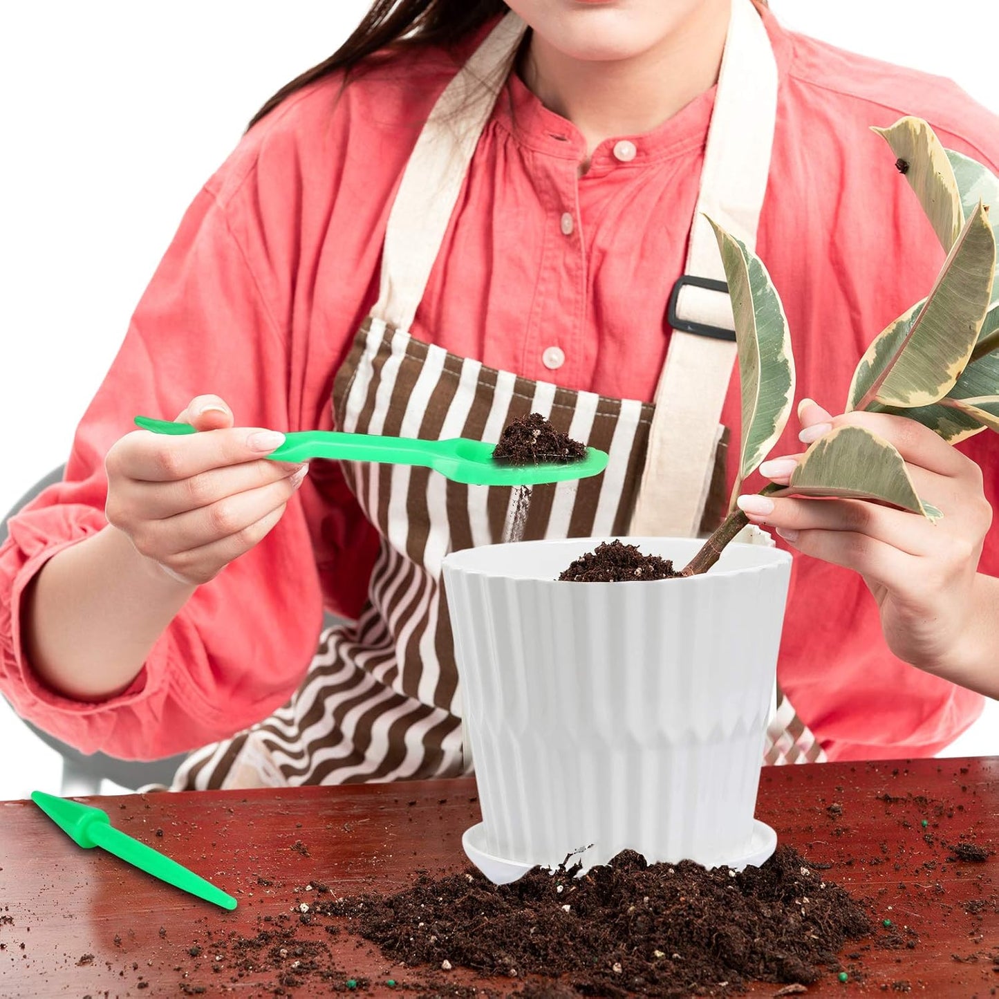 sietpoek Plant Pots - 5.5 Inch Cylinder Ceramic Planters with Connected Saucer, Pots for Succuelnt and Little Snake Plants, Set of 4, White