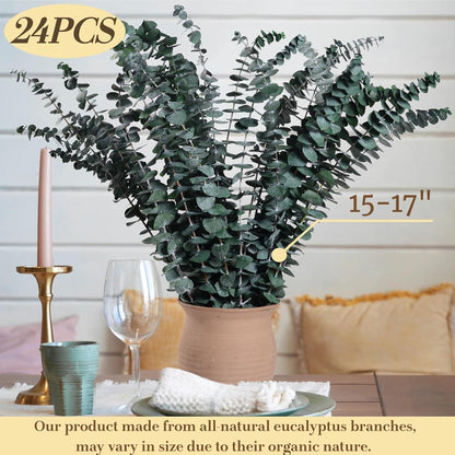 12PCS Dried Eucalyptus for Shower Hanging - 17'' Real Large Preserved Eucalyptus Stems Green Home Decor, 100% Made from Fresh Eucalyptus Leaves, Bathroom Shower Decor, Wedding, DIY