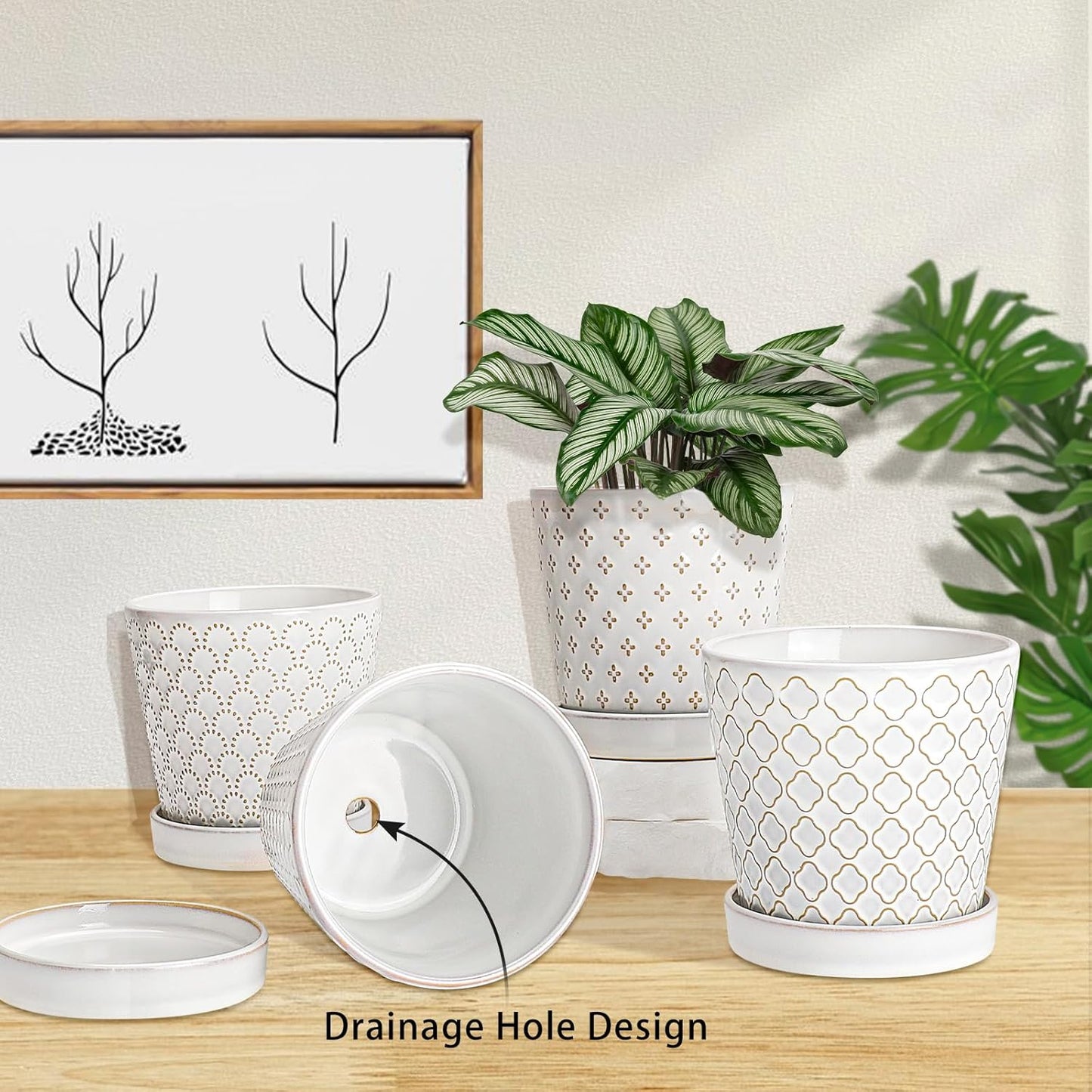 EFISPSS Flower Planter –5 inch Ceramic Plant Pots with Drainage Hole and Ceramic Tray - Gardening Home Desktop Office Windowsill Decoration Gift Set of 4 - Plants NOT Included