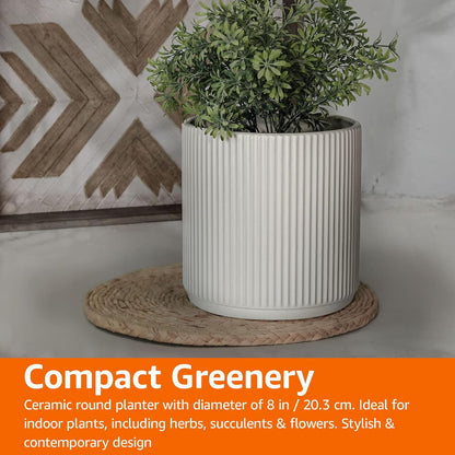 Amazon Basics Fluted Ceramic Round Planter with Drainage Hole, Indoor Outdoor Flower Pot, 10-inch, White