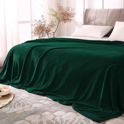 BEDELITE Fleece Blanket Black Throw Blankets for Couch & Bed, Luxury Plush Cozy Fuzzy Blanket 50x60 inches, Super Soft Warm Lightweight Throw Blanket for Travel Camping - Colors A