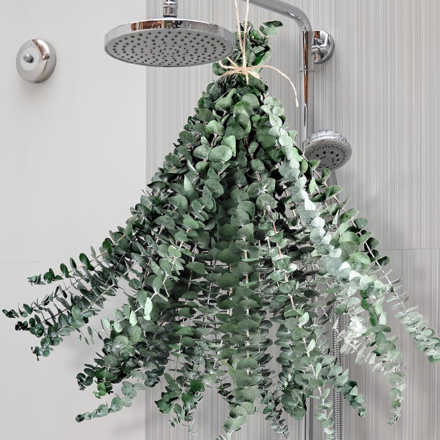 12PCS Dried Eucalyptus for Shower Hanging - 17'' Real Large Preserved Eucalyptus Stems Green Home Decor, 100% Made from Fresh Eucalyptus Leaves, Bathroom Shower Decor, Wedding, DIY