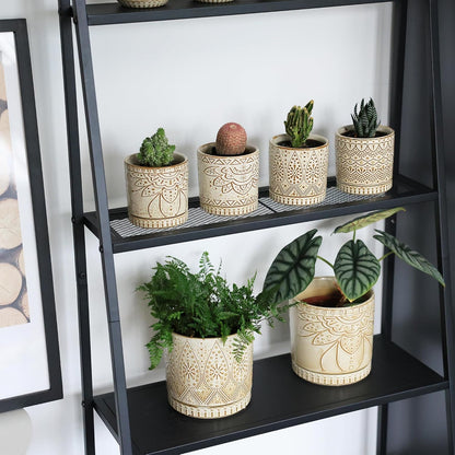 Gepege 6 Inch Beaded Ceramic Planter Set of 2 with Drainage Hole and Saucer for Plants, Indoor-Outdoor Large Round Succulent Orchid Flower Pot (Smoked Gray, Inner-pots not Larger Than 5 Inch)