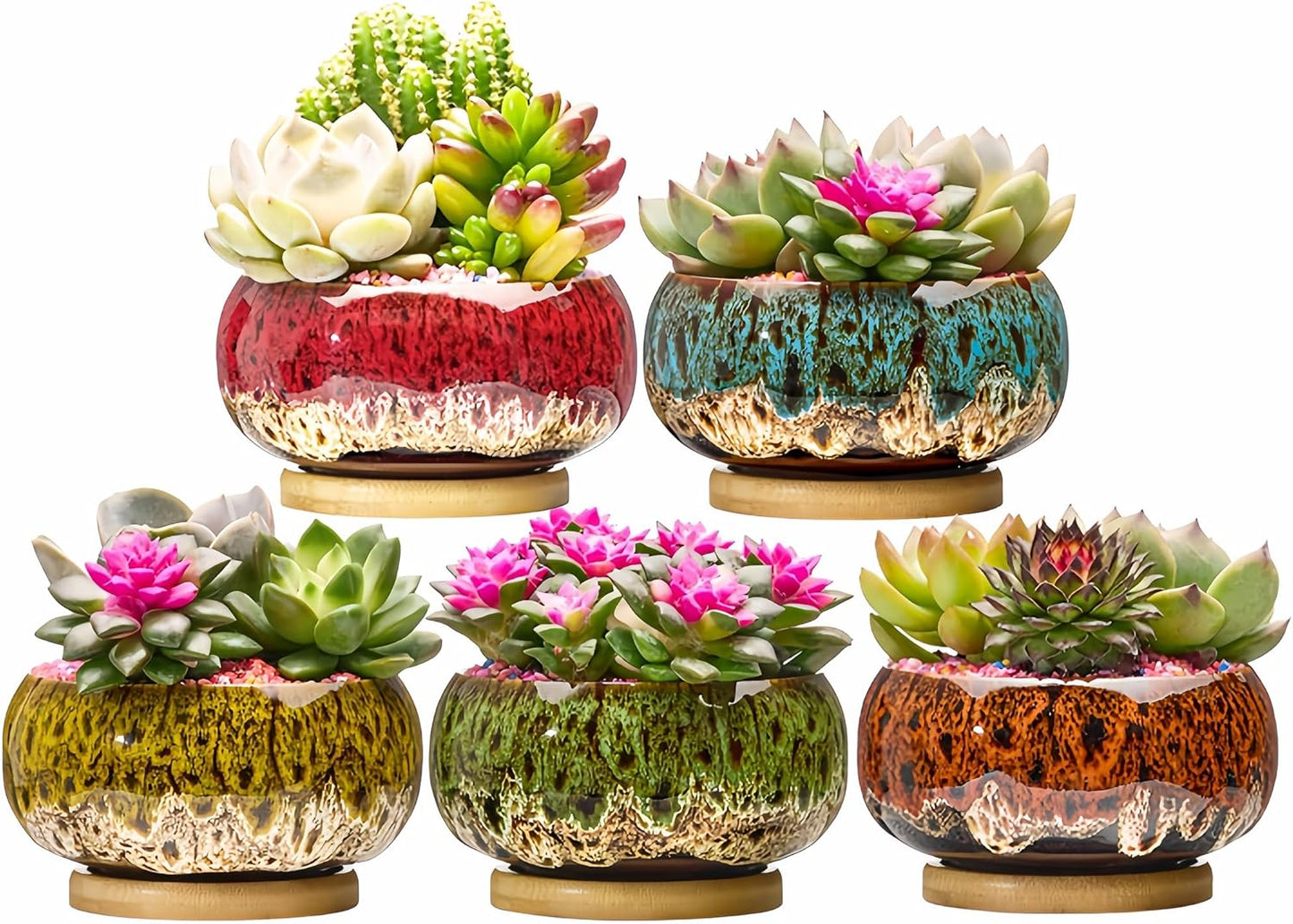 Cute Ceramic Succulent Garden Pots, Planter with Drainage and Attached Saucer, Set of 5 -Plants Not Included (Round)