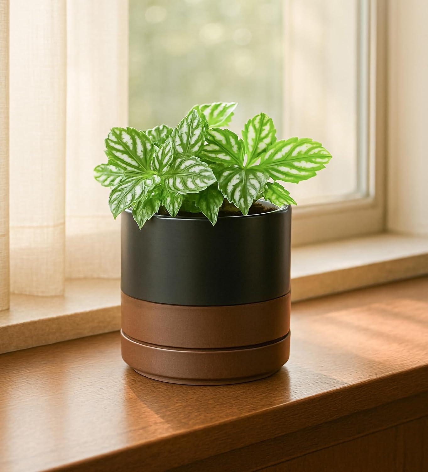 D'vine Dev Set of 2 Plants Pots, 6.5 Inch Ceramic Planter Pot for Plants with Drainage Hole and Saucer, White, 94-V-C-1