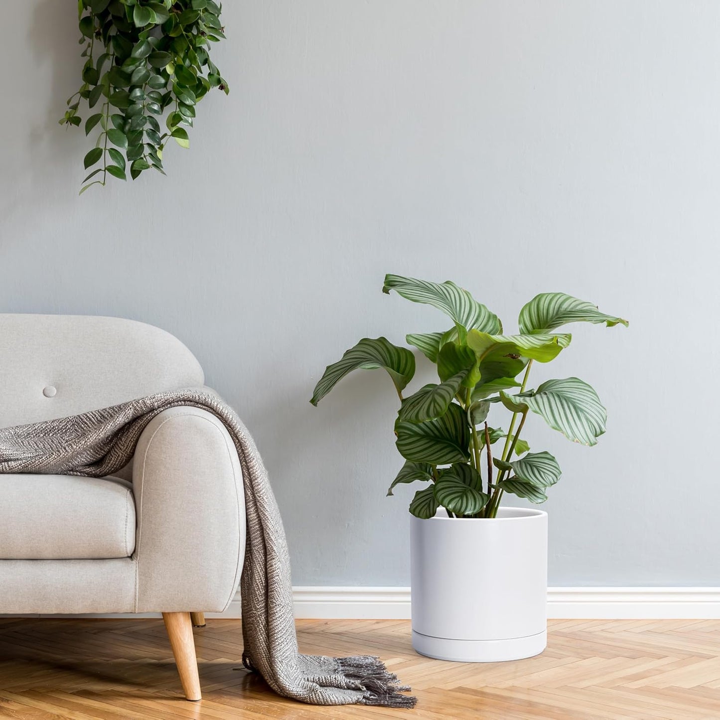 D'vine Dev Set of 2 Plants Pots, 6.5 Inch Ceramic Planter Pot for Plants with Drainage Hole and Saucer, White, 94-V-C-1