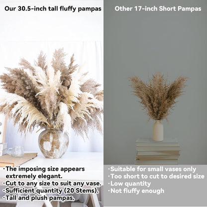 Pampas Grass Decor, Natural Dry Pampas Grass Small, Short Pampass Bulk for Farmhouse, Wall, Kitchen, Bedroom Decor, Office Decor (17 inch )