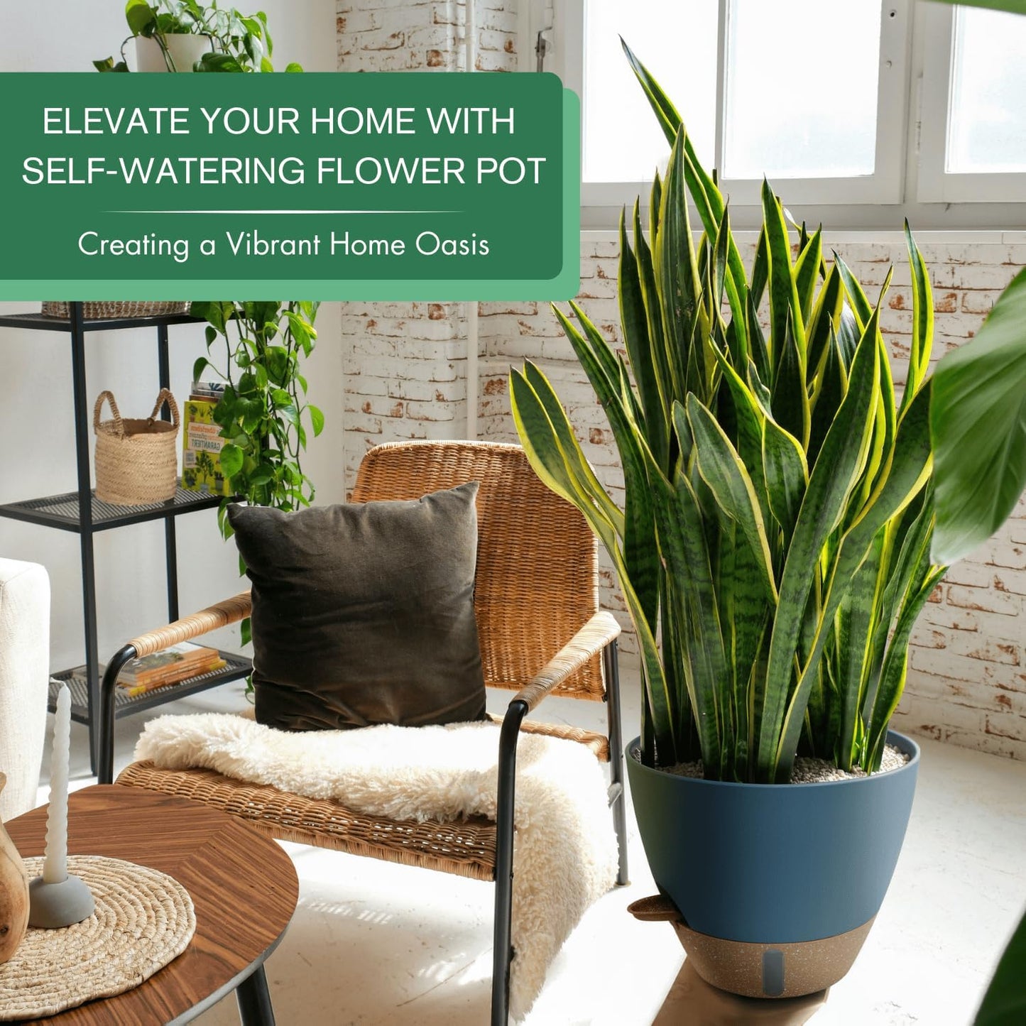 montresor 12/10/8 Inch Self Watering Pots for Indoor Plants Plastic Large Plant Pots for Outdoor Plants, Water Level Window & Spacious Reservoir Flower Pots Decorative Planter with Drainage and Tray