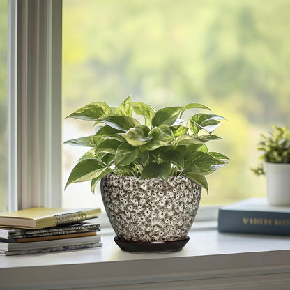 6 Inch Plant Pot - Ceramic Pots for Plants with Drainage Hole and Saucer, Round Succulent Planter Indoor Outdoor, Modern Flower Pot for Snake Plants, Home Decor, Gifts for Plant Lover, Blue