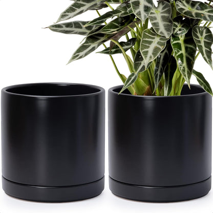 D'vine Dev Set of 2 Plants Pots, 6.5 Inch Ceramic Planter Pot for Plants with Drainage Hole and Saucer, White, 94-V-C-1