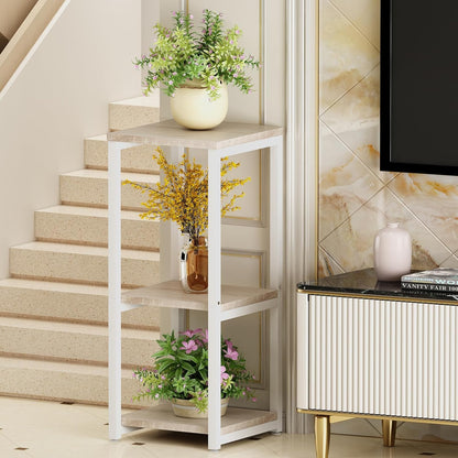 Plant Stand Indoor Corner Tall 2 Tier Metal Modern Flower Storage Plant Shelf Holder for Living Room Balcony Garden,Black (2 Tier-Black Round)
