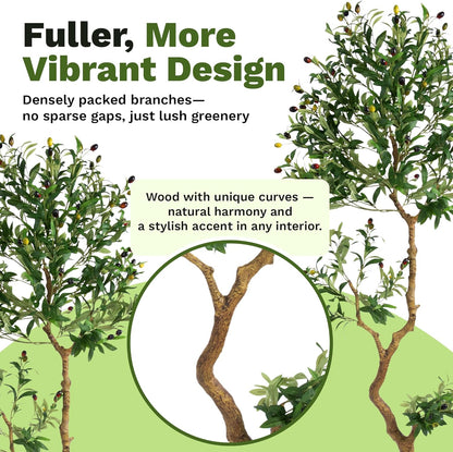 Fake Olive Tree 6.0 Feet – Artificial Plants Indoor, Faux Olive Tree, Fake Tree for Home Decor, Faux Trees Indoor for Living Room, Office, Bedroom – Tall Artificial Trees for Home, Designer Tree
