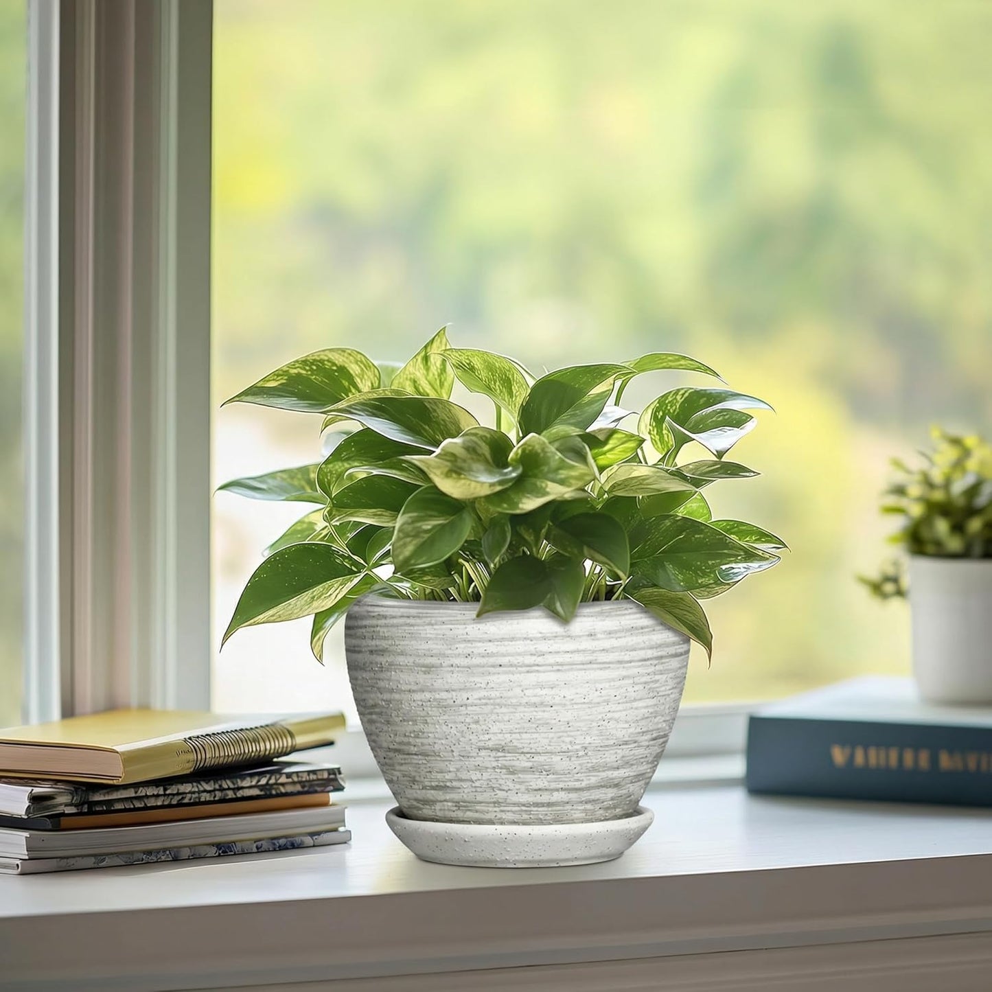 6 Inch Plant Pot - Ceramic Pots for Plants with Drainage Hole and Saucer, Round Succulent Planter Indoor Outdoor, Modern Flower Pot for Snake Plants, Home Decor, Gifts for Plant Lover, Blue