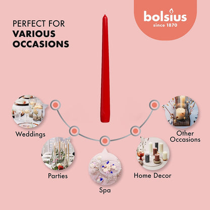 BOLSIUS Ivory Taper Candles - 10 Pack Unscented 10 Inch Dinner Candle Set - 8 Hours Burn Time - Premium European Quality - Smokeless and Dripless Household, Wedding, Party, and Home Décor Candlesticks