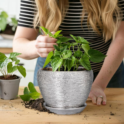 Ceramic Modern Glaze Succulent Planter Pot with Drainage Hole and Saucer 6 Inch Round Flower Plant Pot for Indoor Outdoor Herb Snake Plants