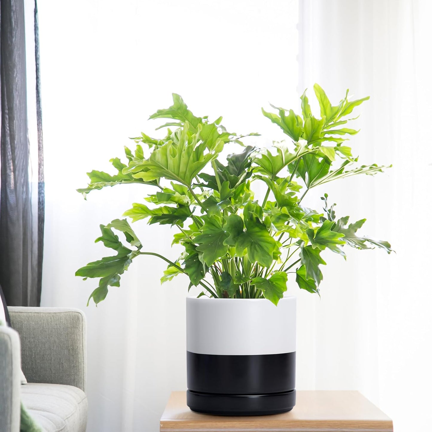 D'vine Dev 6.5 Inch Ceramic Planter Pot with Drainage Hole and Saucer, Indoor Cylinder Round Planter Pot, Olive, 94-O-C-J