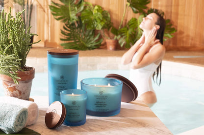 Chesapeake Bay Candle PT40886 Scented Candle Awaken + Invigorate (Lemongrass Eucalyptus) Medium Green Home Décor
