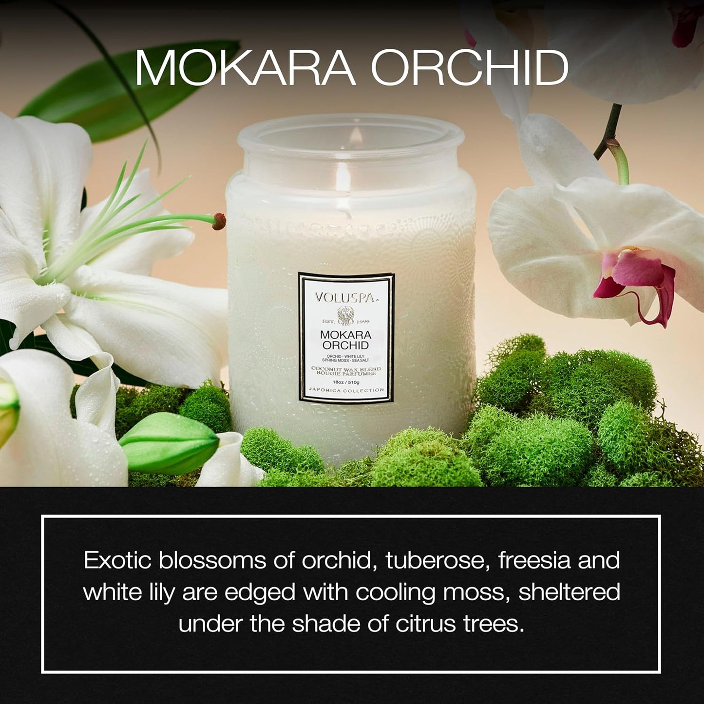 Voluspa Baltic Amber Candle, 18 oz, Coconut Wax Blend, Scented Candles for Home, 100 Hour Burn Time, Candle Jar