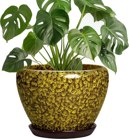 6 Inch Plant Pot - Ceramic Pots for Plants with Drainage Hole and Saucer, Round Succulent Planter Indoor Outdoor, Modern Flower Pot for Snake Plants, Home Decor, Gifts for Plant Lover, Blue