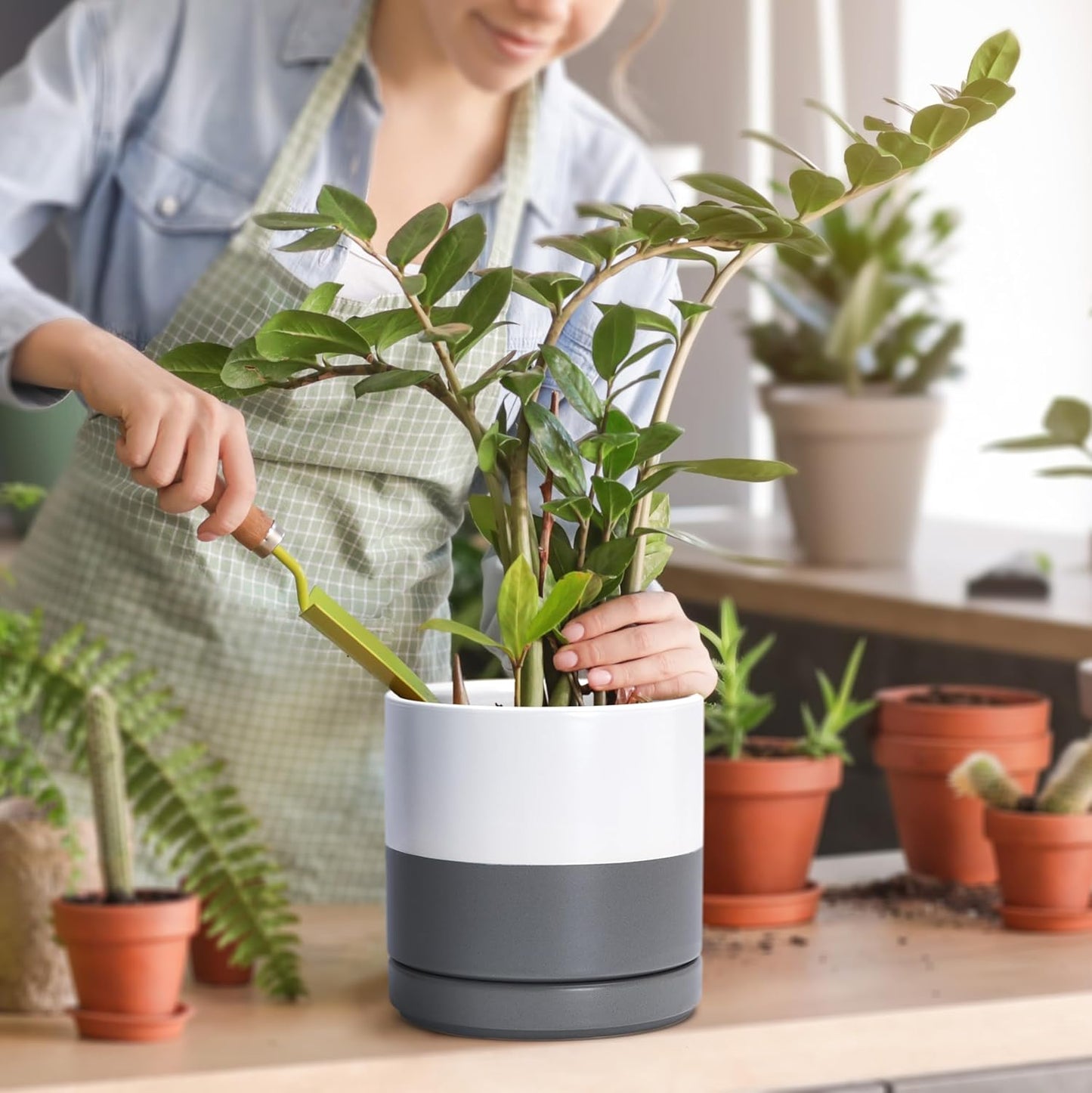 D'vine Dev Set of 2 Plants Pots, 6.5 Inch Ceramic Planter Pot for Plants with Drainage Hole and Saucer, White, 94-V-C-1