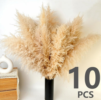 65PCS Pampas Grass Decor, Including pompas Floral, Reed Dried Grass and Bunny Tails Dried Flowers, Natural Dried Pampas Grass Bouquet for Boho Decor Wedding, Home Decoration