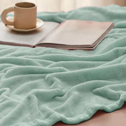 Bedsure GentleSoft Fleece Throw Blanket for Couch Grey - Lightweight Plush Fuzzy Cozy Soft Blankets and Throws for Sofa, Couch, Travel, Camping, 50x60 inches - Colors B