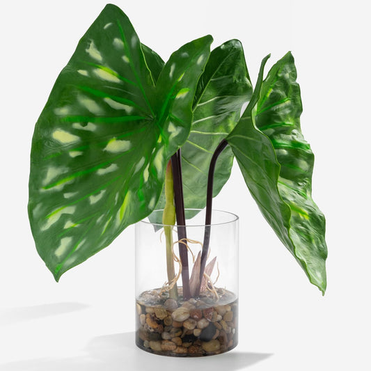 SUNPRAIRIE Realistic Faux Plant in Clear Pot with Artificial Water, Narrow Arrowhead Leaves. Artificial Plants Indoor and Outdoor