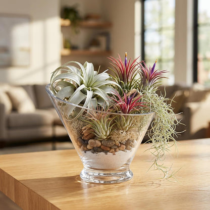 WGVI Clear Slant Cut Bowl Glass Vase, Glass Terrarium, Candy Dish, Glassware, Slant Open: 7". Height: 6" x 2.7". Base: 4" (1 Piece)