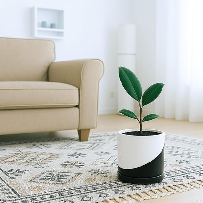 D'vine Dev 6.5 Inch Ceramic Planter Pot with Drainage Hole and Saucer, Indoor Cylinder Round Planter Pot, Olive, 94-O-C-J