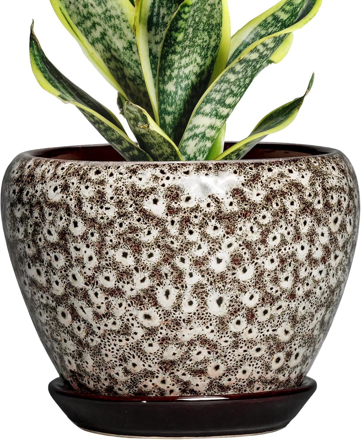 6 Inch Plant Pot - Ceramic Pots for Plants with Drainage Hole and Saucer, Round Succulent Planter Indoor Outdoor, Modern Flower Pot for Snake Plants, Home Decor, Gifts for Plant Lover, Blue