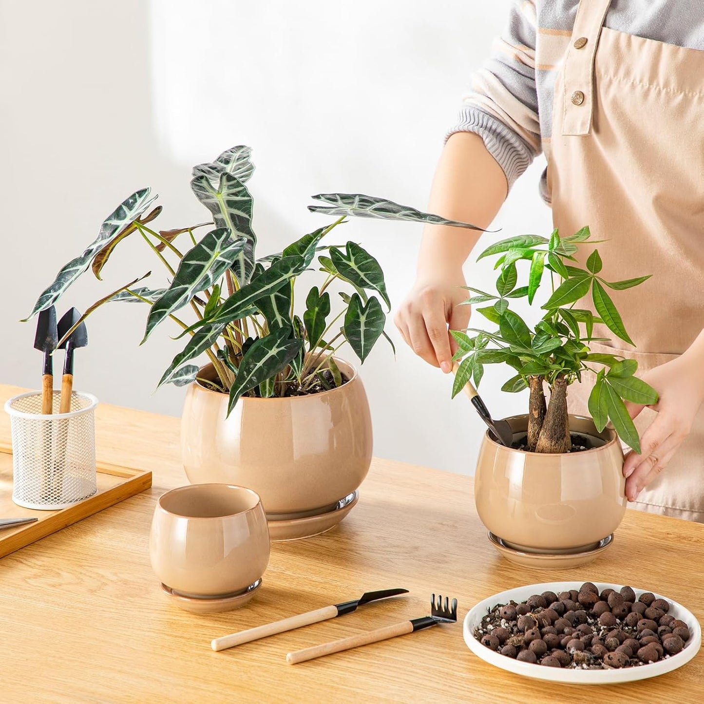 vancasso 3-Pack Ceramic Plant Pots, 3.7/4.8/6.2 Inch Indoor Planters with Saucers & Drainage Hole Planter pots for Indoor Plants and Flower, White