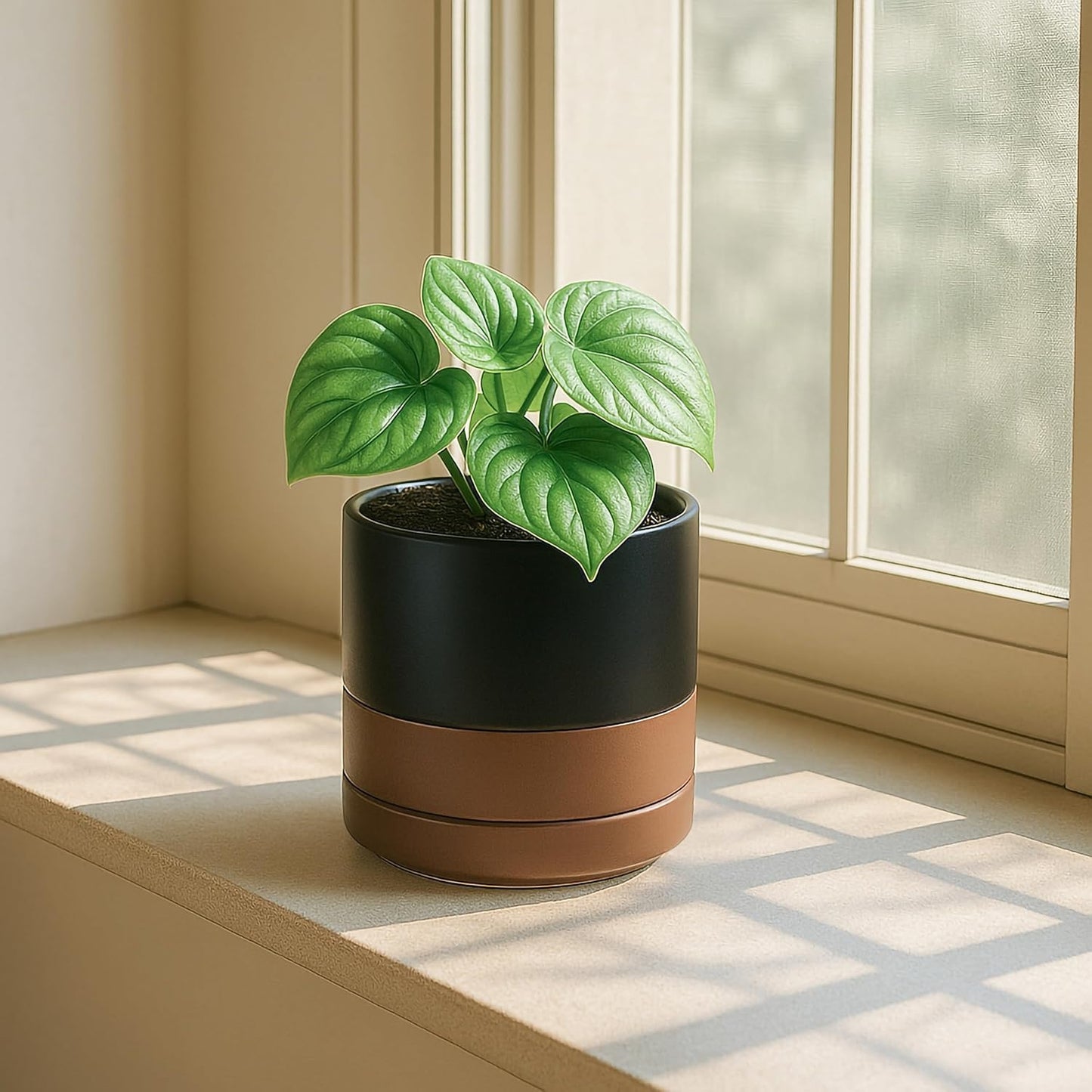 D'vine Dev Set of 2 Plants Pots, 6.5 Inch Ceramic Planter Pot for Plants with Drainage Hole and Saucer, White, 94-V-C-1